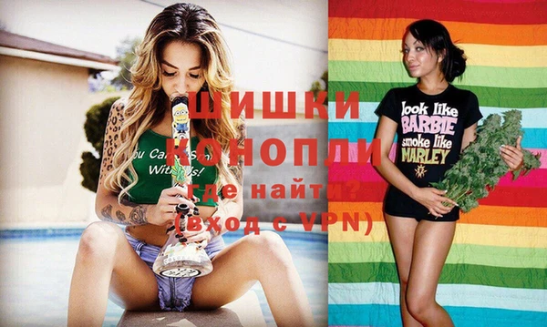 амф Елизово