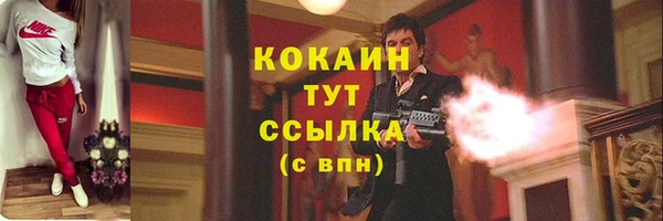 амф Елизово
