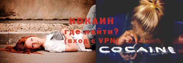 ПСИЛОЦИБИНОВЫЕ ГРИБЫ Елабуга