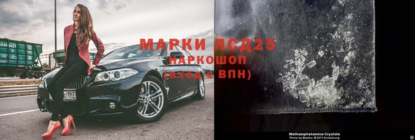 ПСИЛОЦИБИНОВЫЕ ГРИБЫ Елабуга