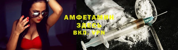 амф Елизово