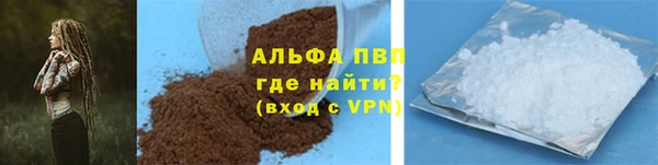 ПСИЛОЦИБИНОВЫЕ ГРИБЫ Елабуга