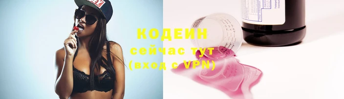 амф Елизово