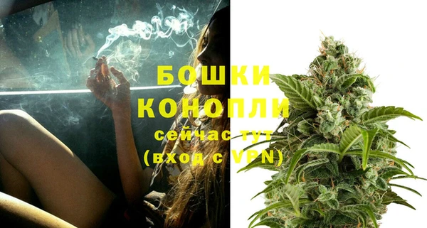 амф Елизово