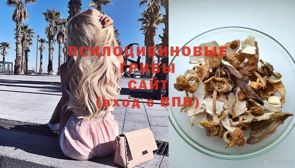 амф Елизово