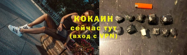 ПСИЛОЦИБИНОВЫЕ ГРИБЫ Елабуга