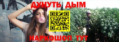 крисы Нальчик