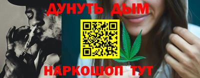 крисы Нальчик
