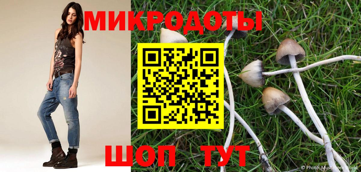 Псилоцибиновые грибы Cubensis  как найти закладки  Соль-Илецк  Вход с VPN  Псилоцибиновые грибы GOLDEN TEACHER 